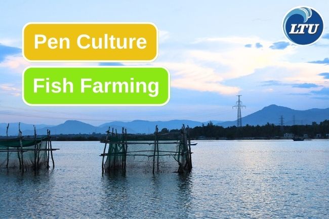 Fish Farming Using Pen Culture System